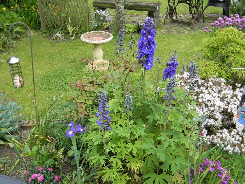 Ugiebrae House Bed & Breakfast North Sunderland Εξωτερικό φωτογραφία